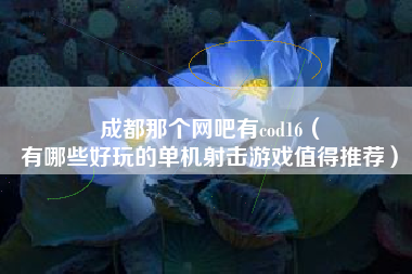 成都那个网吧有cod16（
有哪些好玩的单机射击游戏值得推荐）