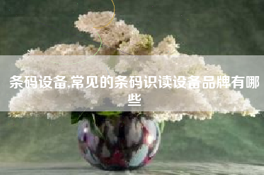 条码设备,常见的条码识读设备品牌有哪些