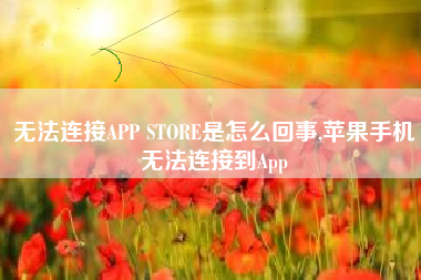 无法连接APP STORE是怎么回事,苹果手机无法连接到App