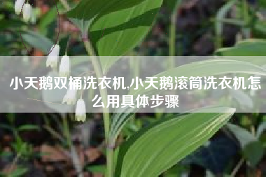 小天鹅双桶洗衣机,小天鹅滚筒洗衣机怎么用具体步骤