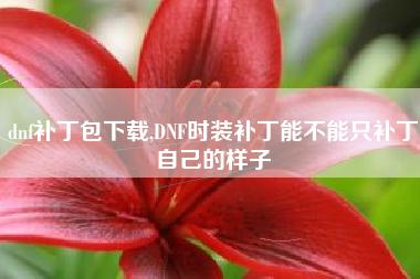 dnf补丁包下载,DNF时装补丁能不能只补丁自己的样子