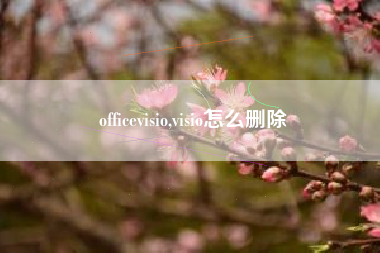 officevisio,visio怎么删除