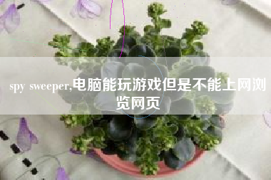 spy sweeper,电脑能玩游戏但是不能上网浏览网页