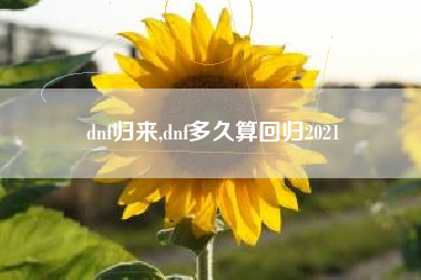 dnf归来,dnf多久算回归2021