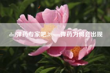 dnf弹药专家吧,39mm弹药为何会出现