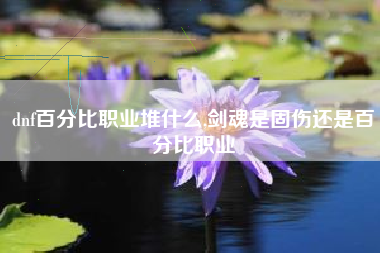 dnf百分比职业堆什么,剑魂是固伤还是百分比职业