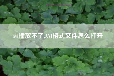 avi播放不了,AVI格式文件怎么打开