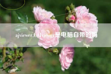 ajviewer,CAJviewer是电脑自带的吗