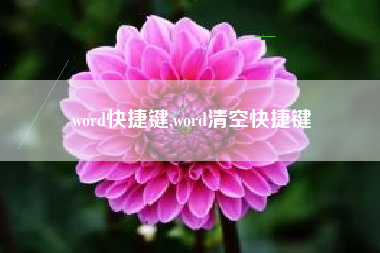 word快捷键,word清空快捷键