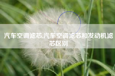 汽车空调滤芯,汽车空调滤芯和发动机滤芯区别