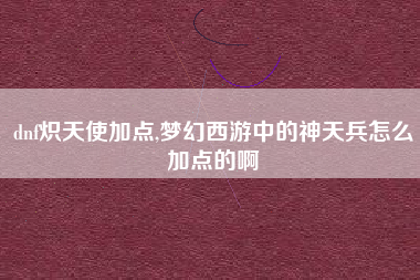 dnf炽天使加点,梦幻西游中的神天兵怎么加点的啊