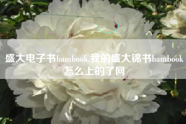 盛大电子书bambook,我的盛大锦书bambook怎么上的了网