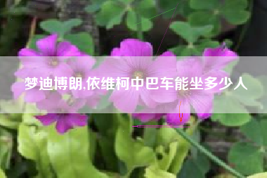 梦迪博朗,依维柯中巴车能坐多少人