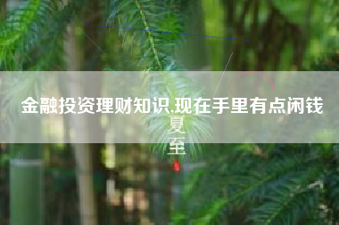 金融投资理财知识,现在手里有点闲钱