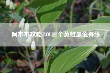 阿木木攻略,LOL哪个英雄最值得练