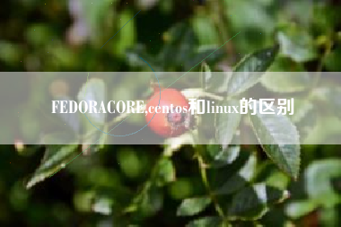 FEDORACORE,centos和linux的区别