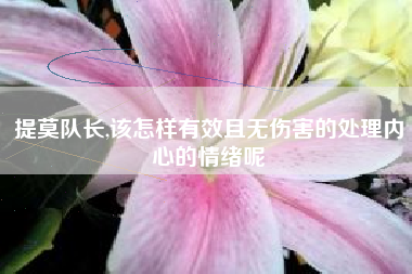 提莫队长,该怎样有效且无伤害的处理内心的情绪呢