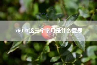 cfy,CFY这三个字母是什么意思