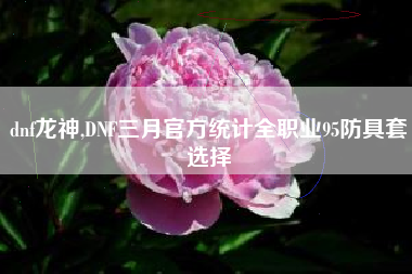 dnf龙神,DNF三月官方统计全职业95防具套选择