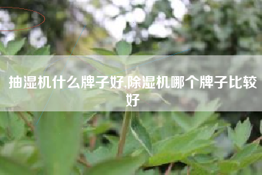 抽湿机什么牌子好,除湿机哪个牌子比较好