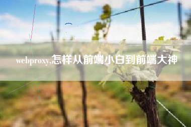 webproxy,怎样从前端小白到前端大神