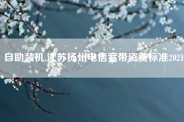 自助装机,江苏扬州电信宽带资费标准2021