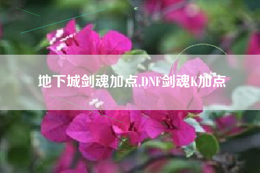 地下城剑魂加点,DNF剑魂K加点