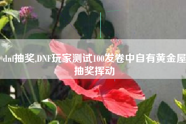 dnf抽奖,DNF玩家测试100发卷中自有黄金屋抽奖挥动