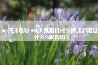 dnf深渊爆粉,DNF大家刷机械牛深渊都爆过什么SS跟粉啊