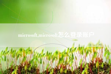 microsoft,microsoft怎么登录账户