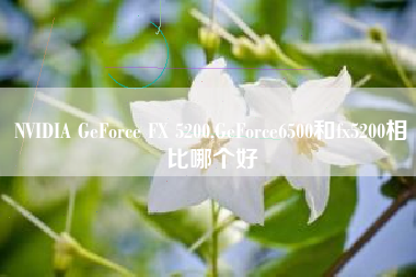 NVIDIA GeForce FX 5200,GeForce6500和fx5200相比哪个好