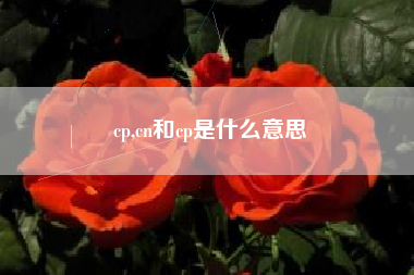 cp,cn和cp是什么意思