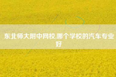 东北师大附中网校,哪个学校的汽车专业好