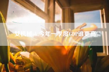 女机械pk,今年一季度GDP谁更高