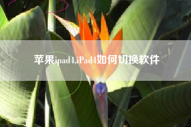 苹果ipad4,iPad4如何切换软件