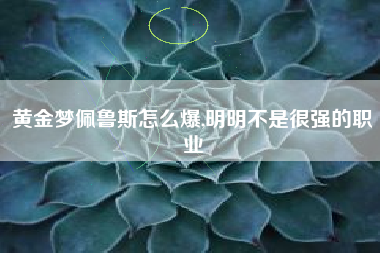 黄金梦佩鲁斯怎么爆,明明不是很强的职业