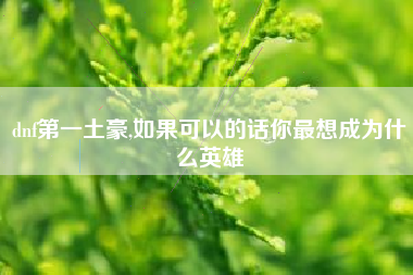 dnf第一土豪,如果可以的话你最想成为什么英雄