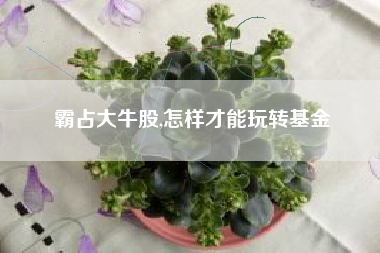 霸占大牛股,怎样才能玩转基金