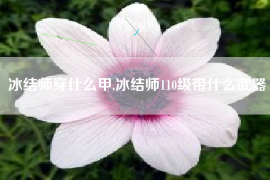 冰结师穿什么甲,冰结师110级带什么武器