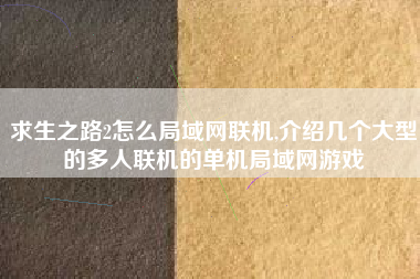 求生之路2怎么局域网联机,介绍几个大型的多人联机的单机局域网游戏