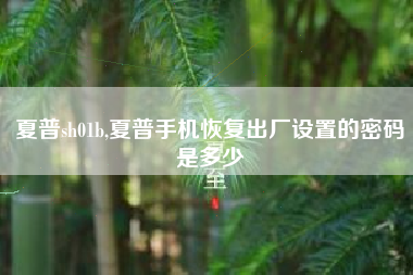 夏普sh01b,夏普手机恢复出厂设置的密码是多少