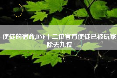 使徒的宿命,DNF十二位官方使徒已被玩家除去九位