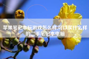 苹果笔记本玩游戏怎么样,可以买什么样的二手笔记本电脑