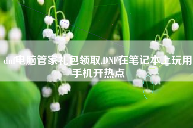 dnf电脑管家礼包领取,DNF在笔记本上玩用手机开热点