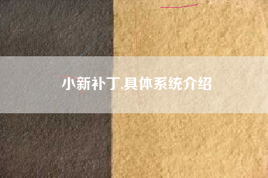 小新补丁,具体系统介绍