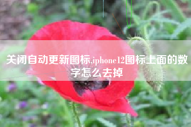 关闭自动更新图标,iphone12图标上面的数字怎么去掉