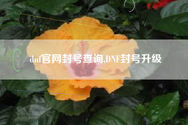 dnf官网封号查询,DNF封号升级