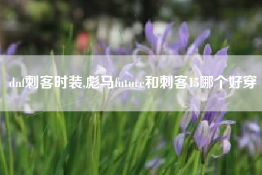 dnf刺客时装,彪马future和刺客15哪个好穿