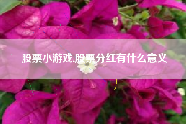 股票小游戏,股票分红有什么意义