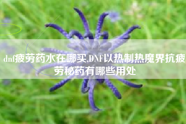 dnf疲劳药水在哪买,DNF以热制热魔界抗疲劳秘药有哪些用处